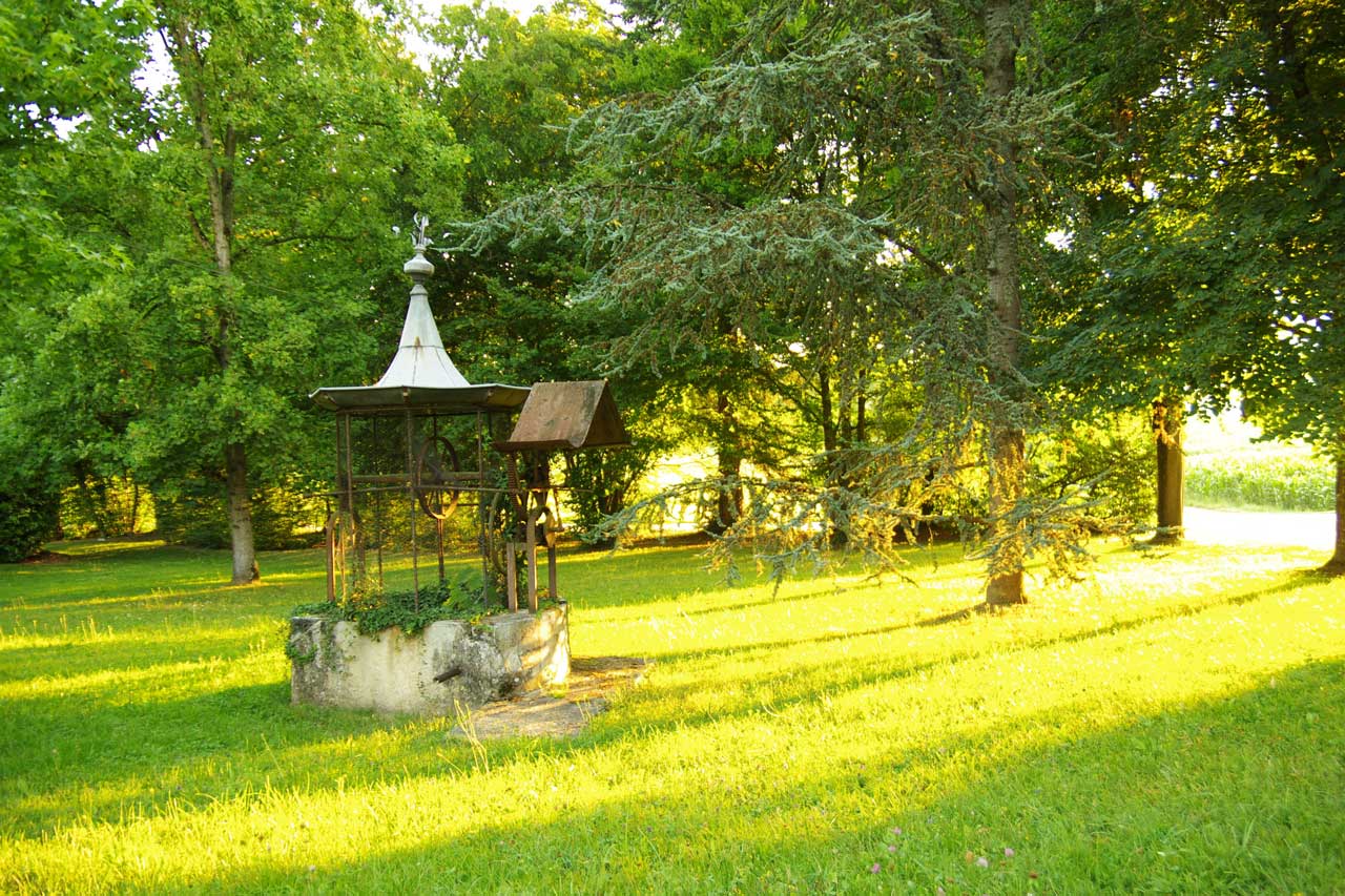 Le puits dans le parc
